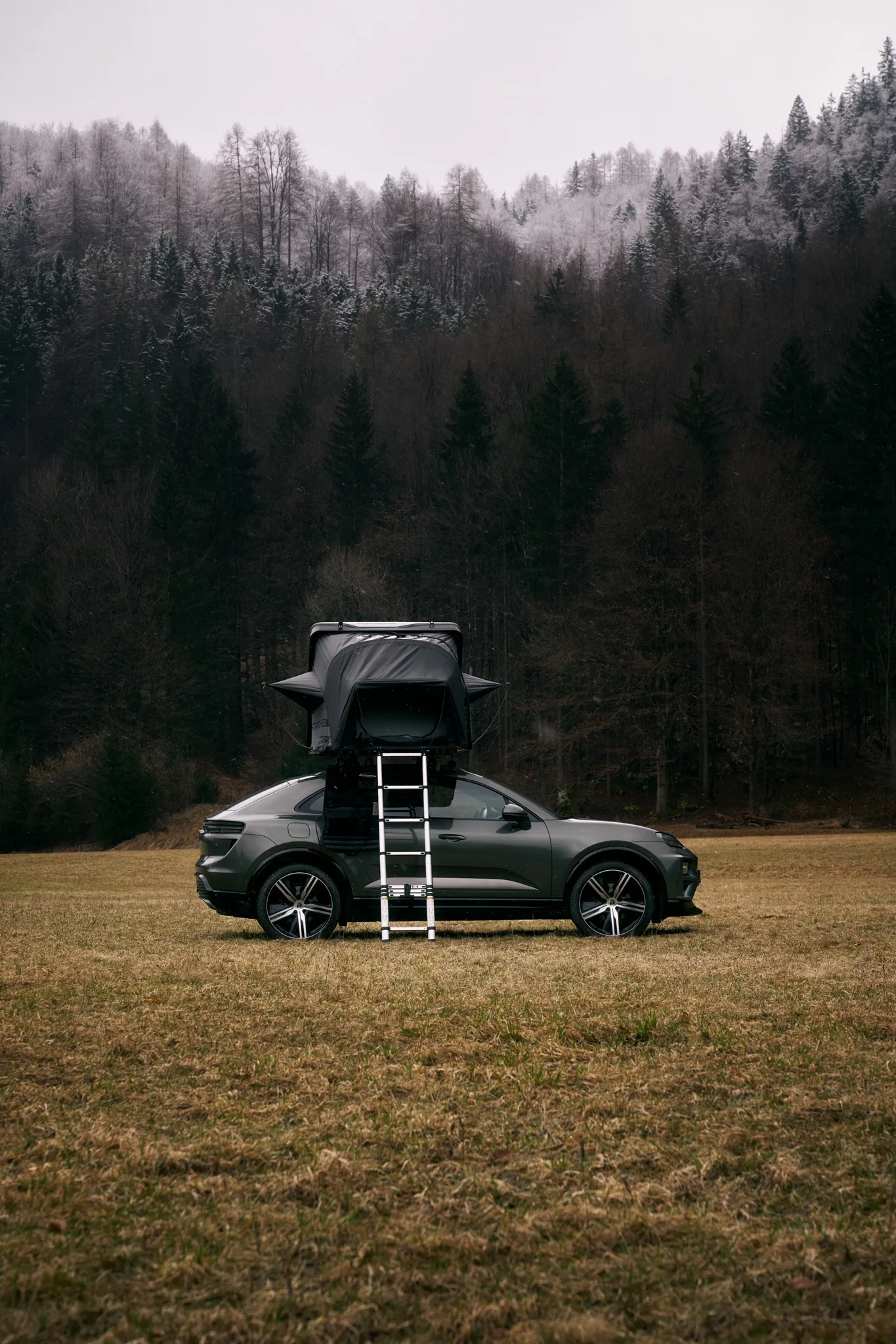 Some image description